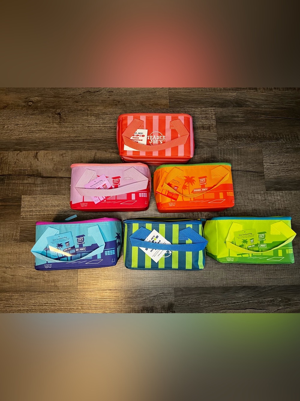NWT Trader Joe’s Mini Insulated Tote / Cooler Bags. Set of 6 (2026 Release)